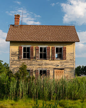 Phragmites by an abandoned house